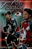 (23x35) Colorado Avalanche Peter Forsberg Sports Poster Print