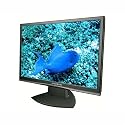 Hyundai X224WA 22Zoll TFT analog