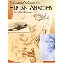 The Artist's Guide to Human Anatomy