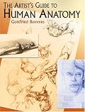 The Artist's Guide to Human Anatomy
