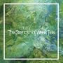 Strength of Weak Ties