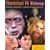 Theatrical FX Makeup
