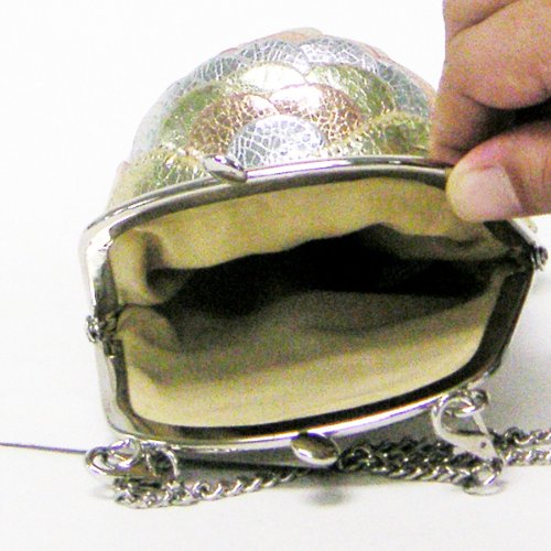 Metallic Fish Purse (Multi)