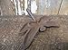 Big Sky Antiques Coat Hat Hooks Cast Iron Dragonfly 4.5 x 5 Inch