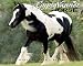 Book Gypsy Vanner Horse 2007 Calendar, Premier Edition