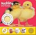 Bright Baby Touch, Feel and Listen: Duckling (Baby Touch and Feel)