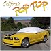 - Ford Mustang (2005-2006) DuPont Tyvek PopTop Sun Shade, Interior, Cockpit, Car Cover __SEMA 2006 NEW PRODUCT AWARD WINNER__