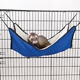 Pet Supplies : Biddie Buddies Ferret Hammock