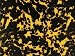Wildcat Yellow Pearloid Epiphone Bell Style Les Paul SG Truss Rod Cover