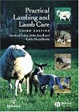 Practical Lambing and Lamb Care: A Veterinary Guide