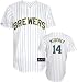 Bill Hall Jersey: Adult 2010 Majestic Alternate Pinstripe Replica #2 Milwaukee Brewers Jersey - Small