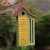 Green Butterfly Hibernation Box