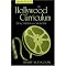 Books Analyzing and Criticizing Teen / Adolescent Cinema