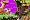 Rayman 3 (GBA)