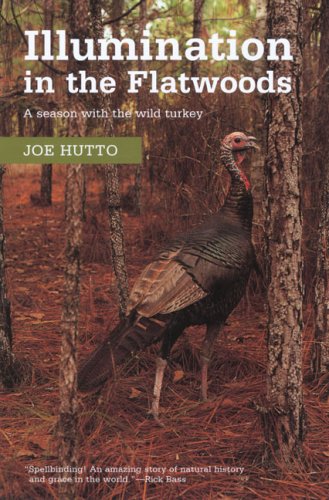 Illumination in the Flatwoods: A Season with the Wild Turkey
