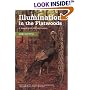 Illumination in the Flatwoods: A Season with the Wild Turkey