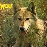 Canis Lupus