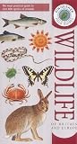 Kingfisher Field Guide to the Wildlife of Britain and Europe (Kingfisher Field Guides)