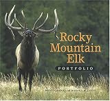 Rocky Mountain Elk Portfolio