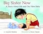 Big Sister Now: A Story About Me and Our New Baby