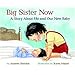 Big Sister Now: A Story About Me and Our New Baby