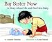 Big Sister Now: A Story About Me and Our New Baby
