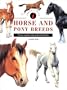 Identifying Horse & Pony Breeds (Identifying Guide)