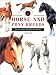 Book Identifying: Horse and Pony Breeds (Identifying Guide Series)