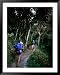 Hiker and Porter on Inca Trail to Machu Picchu Above Llulluchayoc, Cuzco, Peru Framed Art Poster Print by Mark Daffey, 39x49