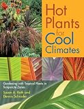 Hot Plants For Cool Climates: Gardening Wth Tropical Plants In Temperate Zones