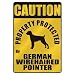 pointer15  - CAUTION PROPERTY PROTECTED BY GERMAN WIREHAIRED POINTER PARKING