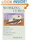 Working Cures: Healing, Health, and Power on Southern Slave Plantations