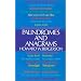 Palindromes and Anagrams