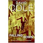 Falling Down (Laura Winslow Mysteries) book cover