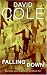Book Falling Down (Laura Winslow Mysteries)