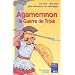 Agamemnon la guerre de troie