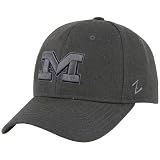 Zephyr Michigan Wolverines Charcoal Renegade Fitted Hat
