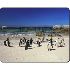 Beach Penguins Computer Mouse Mat/Pad Gift, Ref:AB-89M