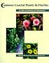 Common Coastal Plants in Florida: A Guide to Planting and Maintenance