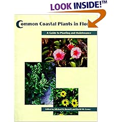 Common Coastal Plants in Florida: A Guide to Planting and Maintenance