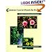 Common Coastal Plants in Florida: A Guide to Planting and Maintenance