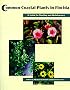 Common Coastal Plants in Florida: A Guide to Planting and Maintenance