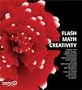 Flash Math Creativity