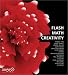 Flash Math Creativity by Manny Tan, Jamie Macdonald, Glen Rhodes, Brandon Williams, Kip Parker, Gabriel Mulzer, Jared Tarbell, Ty Lettau, JD Hooge, Keith Peters, David Hirmes, Lifaros, Paul Prudence, Pavel Kaluzhny, Ken Jokol