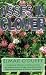 Books : Asses in Clover