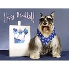 Pet Star Hanukkah Cards - Schnauzer with Dreidel by  Pet Star Photography