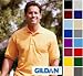 Men's Gildan Ultra Cotton Pique Polo Shirt