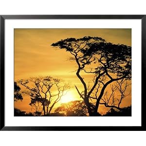 Botswana, Kalahari Desert, Sunset Framed Art Poster Print by Jacob Halaska, 39x31