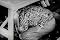 Survival Under Atomic Attack Film: Duck and Cover (1951) [DVD] - Civil Defense Film with Bert The Turtle