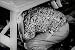 Survival Under Atomic Attack Film: Duck and Cover (1951) [DVD] - Civil Defense Film with Bert The Turtle